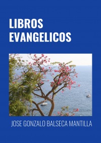 LIBROS EVANGELICOS