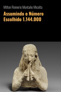 Assumindo o Número Escolhido 1.144.000