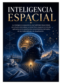 Inteligencia Espacial
